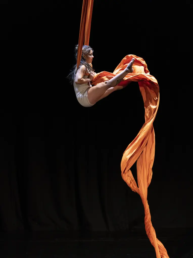 Mota Circusgala